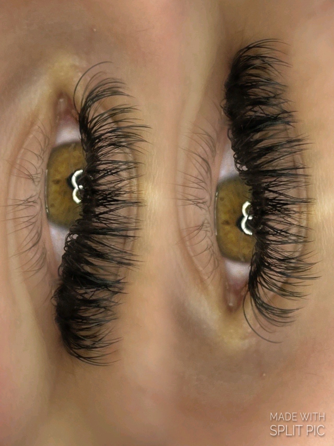 Lash map cheat sheet - Lash Paige