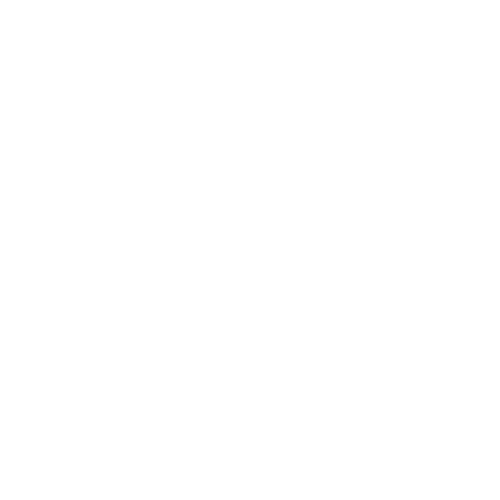 Lash Paige
